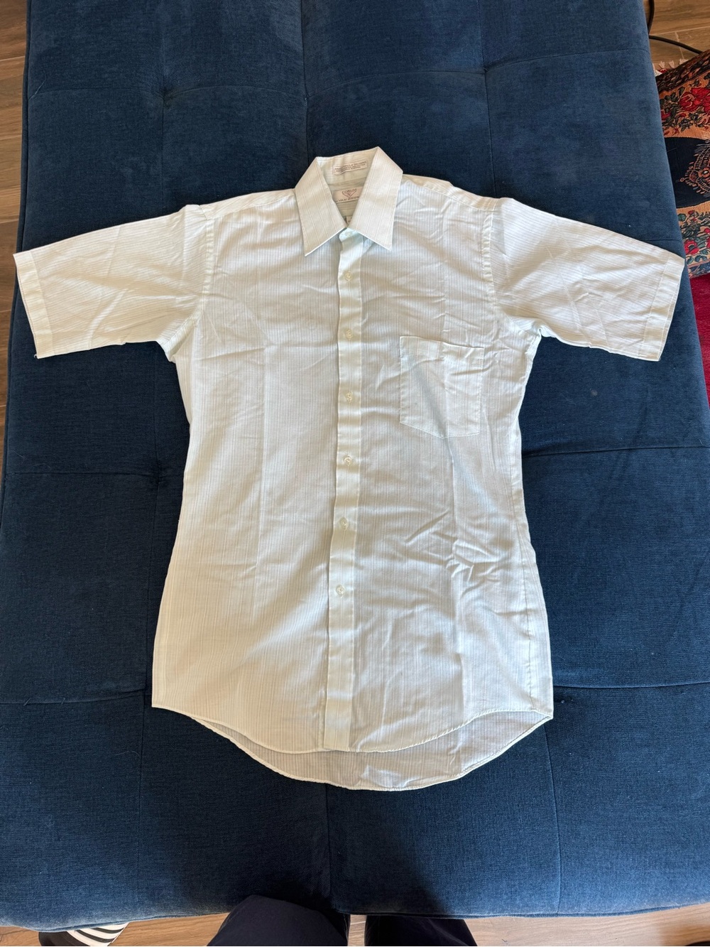 Vintage Corum by Van Heusen Powder Blue Striped Shirt